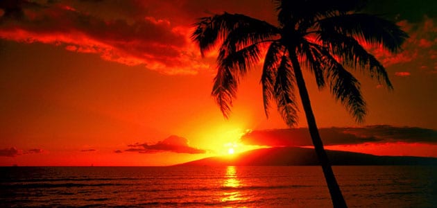 رؤية غروب الشمس في المنام